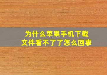 为什么苹果手机下载文件看不了了怎么回事