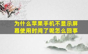 为什么苹果手机不显示屏幕使用时间了呢怎么回事