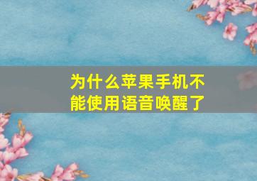 为什么苹果手机不能使用语音唤醒了