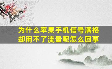 为什么苹果手机信号满格却用不了流量呢怎么回事