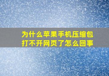 为什么苹果手机压缩包打不开网页了怎么回事