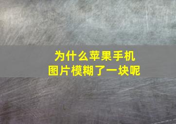 为什么苹果手机图片模糊了一块呢