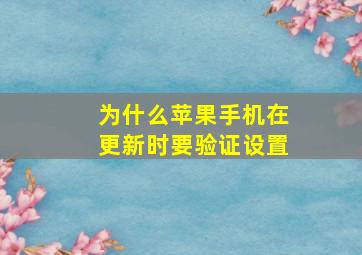 为什么苹果手机在更新时要验证设置