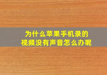 为什么苹果手机录的视频没有声音怎么办呢