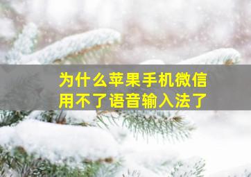 为什么苹果手机微信用不了语音输入法了