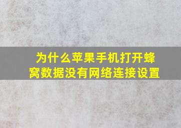 为什么苹果手机打开蜂窝数据没有网络连接设置