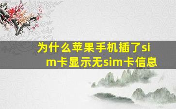 为什么苹果手机插了sim卡显示无sim卡信息