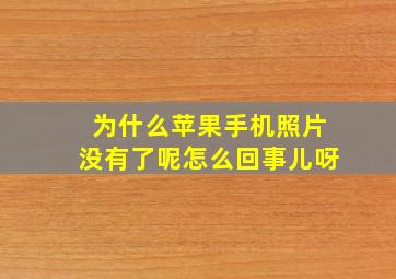 为什么苹果手机照片没有了呢怎么回事儿呀