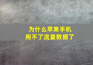 为什么苹果手机用不了流量数据了