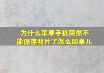 为什么苹果手机突然不能保存图片了怎么回事儿