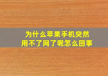 为什么苹果手机突然用不了网了呢怎么回事