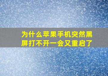 为什么苹果手机突然黑屏打不开一会又重启了