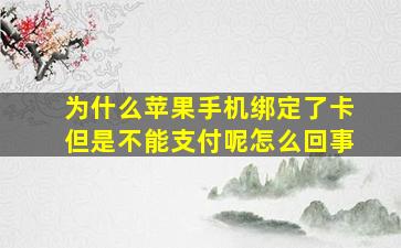 为什么苹果手机绑定了卡但是不能支付呢怎么回事