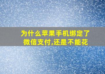 为什么苹果手机绑定了微信支付,还是不能花