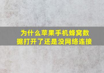 为什么苹果手机蜂窝数据打开了还是没网络连接