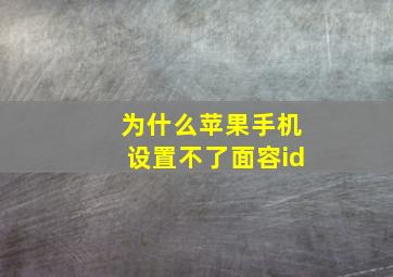 为什么苹果手机设置不了面容id