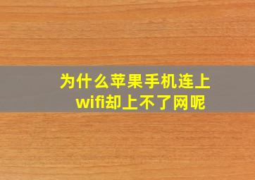 为什么苹果手机连上wifi却上不了网呢