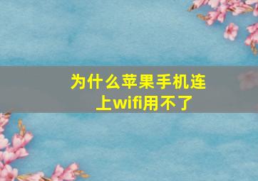 为什么苹果手机连上wifi用不了