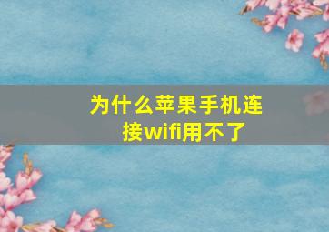 为什么苹果手机连接wifi用不了