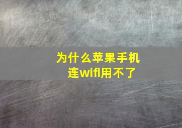 为什么苹果手机连wifi用不了