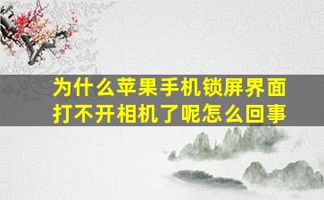 为什么苹果手机锁屏界面打不开相机了呢怎么回事