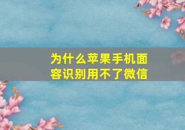 为什么苹果手机面容识别用不了微信