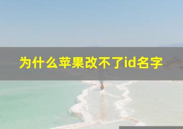 为什么苹果改不了id名字