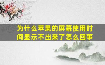 为什么苹果的屏幕使用时间显示不出来了怎么回事