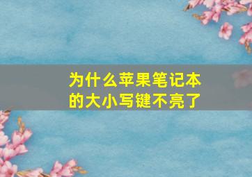 为什么苹果笔记本的大小写键不亮了