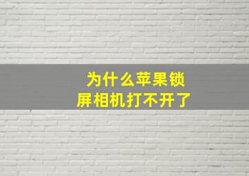 为什么苹果锁屏相机打不开了