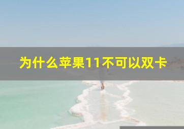 为什么苹果11不可以双卡