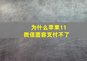 为什么苹果11微信面容支付不了