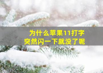 为什么苹果11打字突然闪一下就没了呢