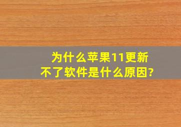 为什么苹果11更新不了软件是什么原因?