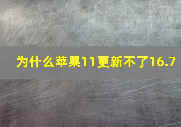 为什么苹果11更新不了16.7