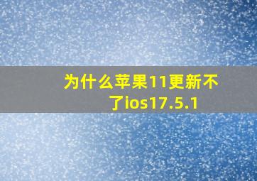 为什么苹果11更新不了ios17.5.1