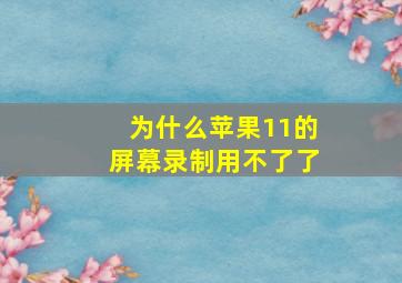 为什么苹果11的屏幕录制用不了了