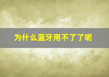 为什么蓝牙用不了了呢