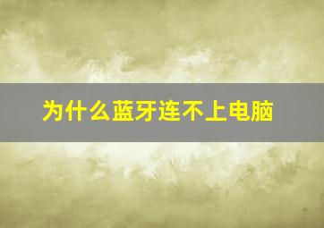 为什么蓝牙连不上电脑