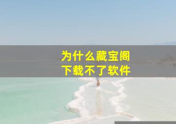 为什么藏宝阁下载不了软件