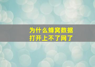 为什么蜂窝数据打开上不了网了