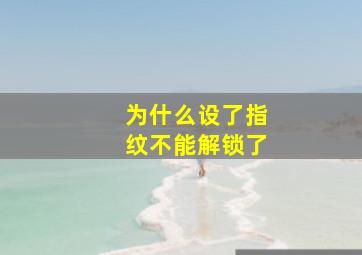 为什么设了指纹不能解锁了