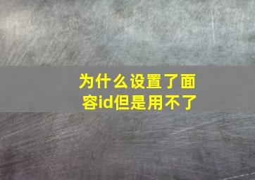 为什么设置了面容id但是用不了