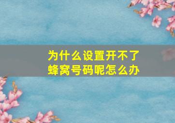 为什么设置开不了蜂窝号码呢怎么办