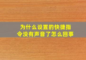 为什么设置的快捷指令没有声音了怎么回事