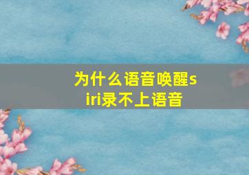 为什么语音唤醒siri录不上语音