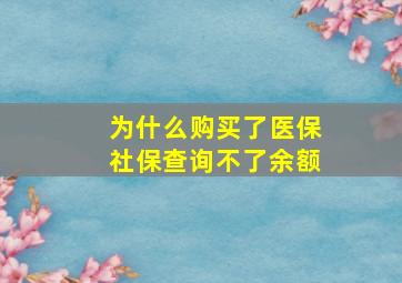 为什么购买了医保社保查询不了余额