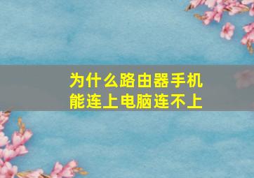 为什么路由器手机能连上电脑连不上