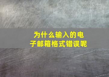 为什么输入的电子邮箱格式错误呢