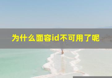 为什么面容id不可用了呢